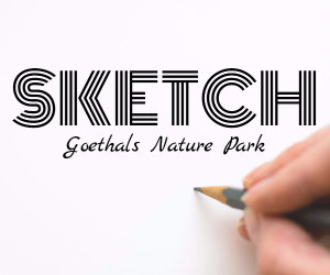 sketch at goethals nature park image